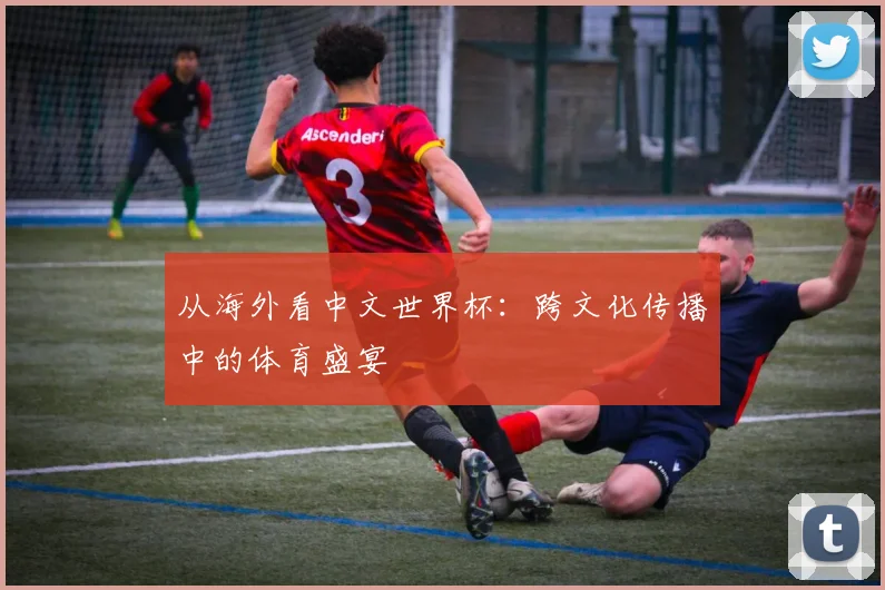 从海外看中文世界杯:跨文化传播中的体育盛宴