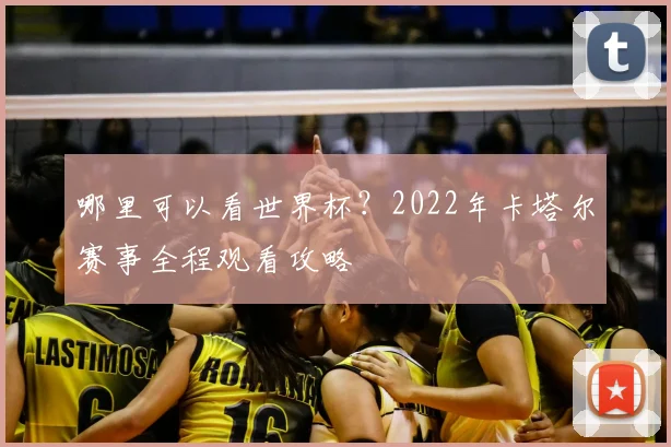 哪里可以看世界杯？2022年卡塔尔赛事全程观看攻略