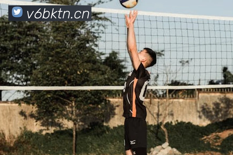 星空体育登录网页入口平台生态图